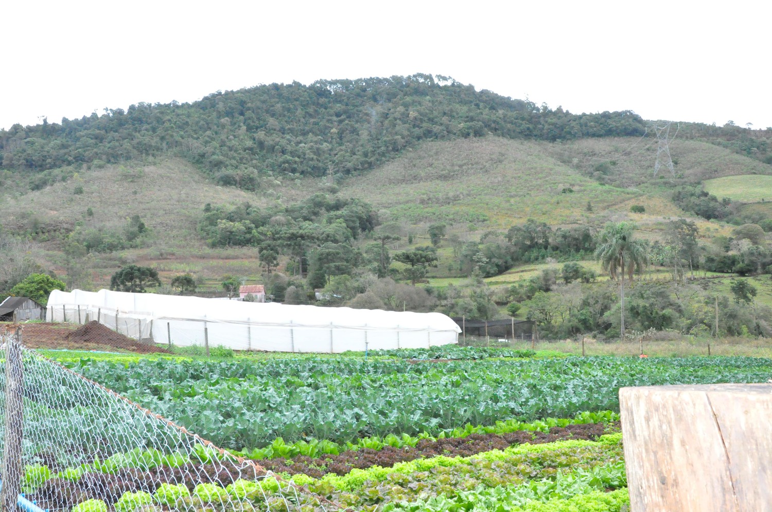 Agroecologia, o nascer de uma nova possibilidade.