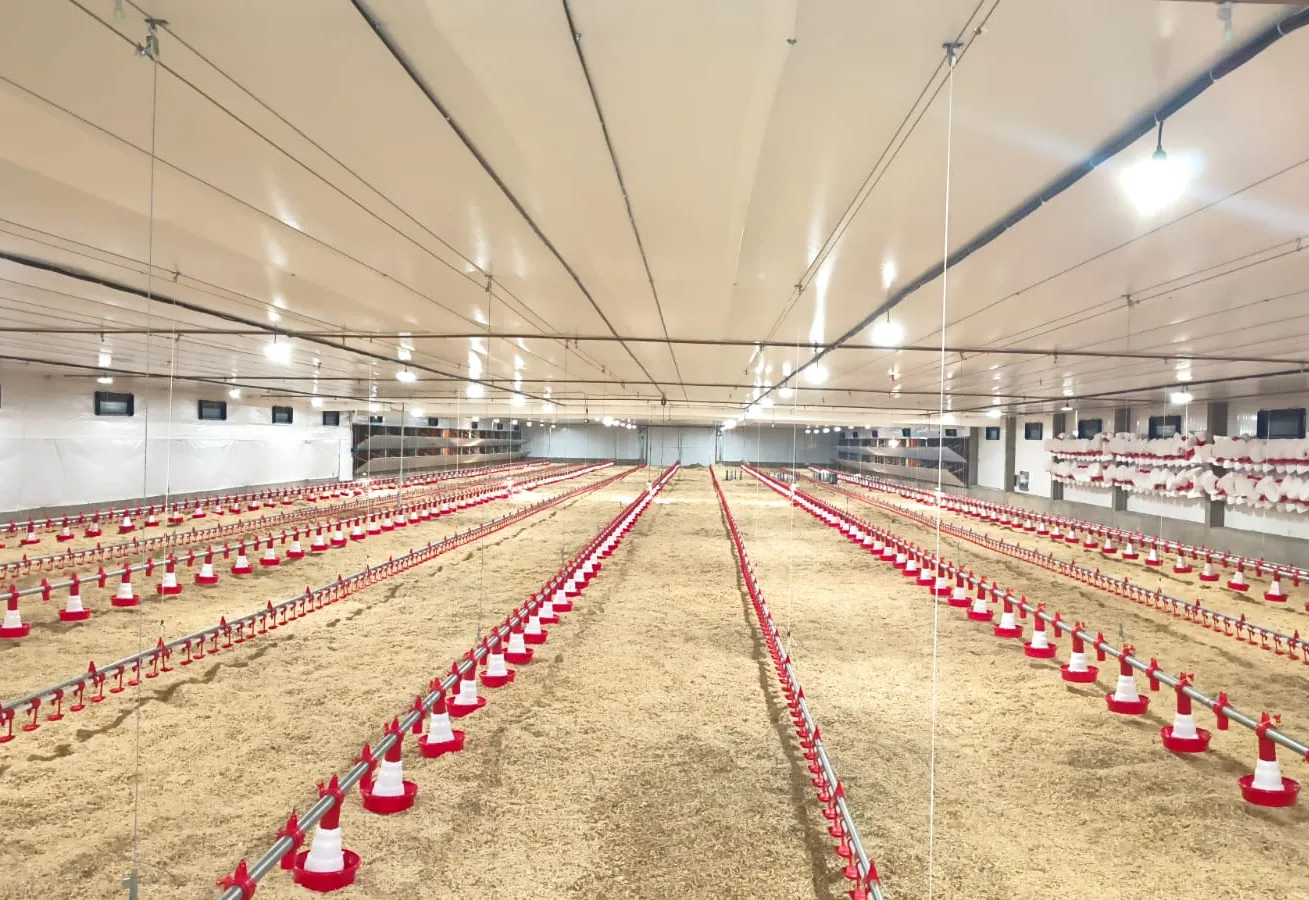 Nova estrutura amplia investimentos no setor avícola em Aratiba